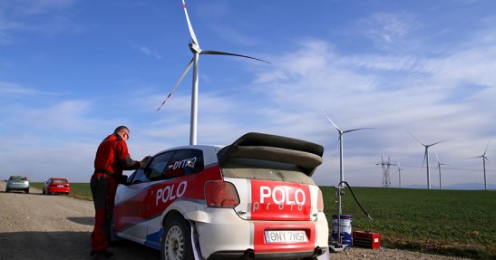 Testy Polo Proto